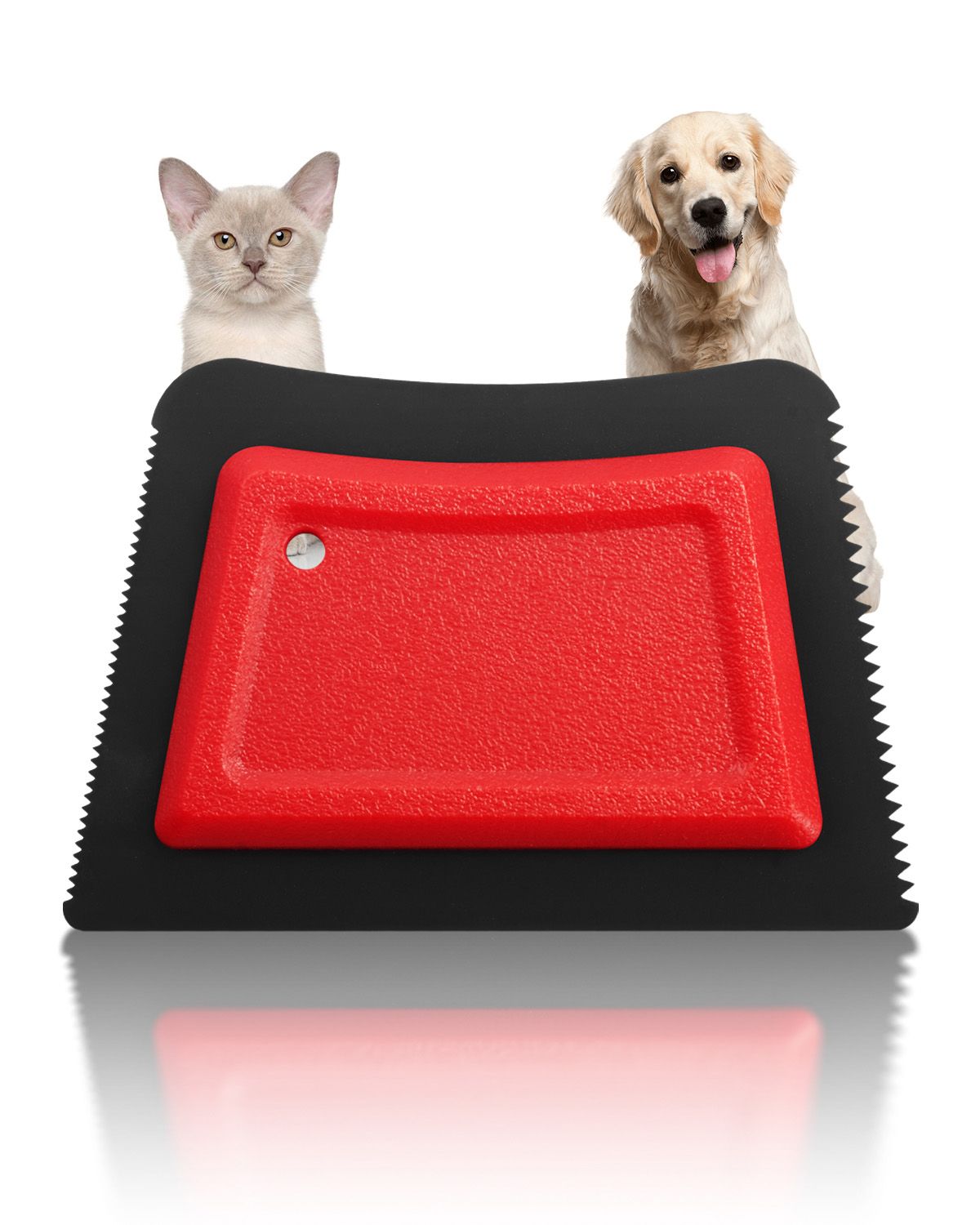 Dog travel cleanup and organization gear