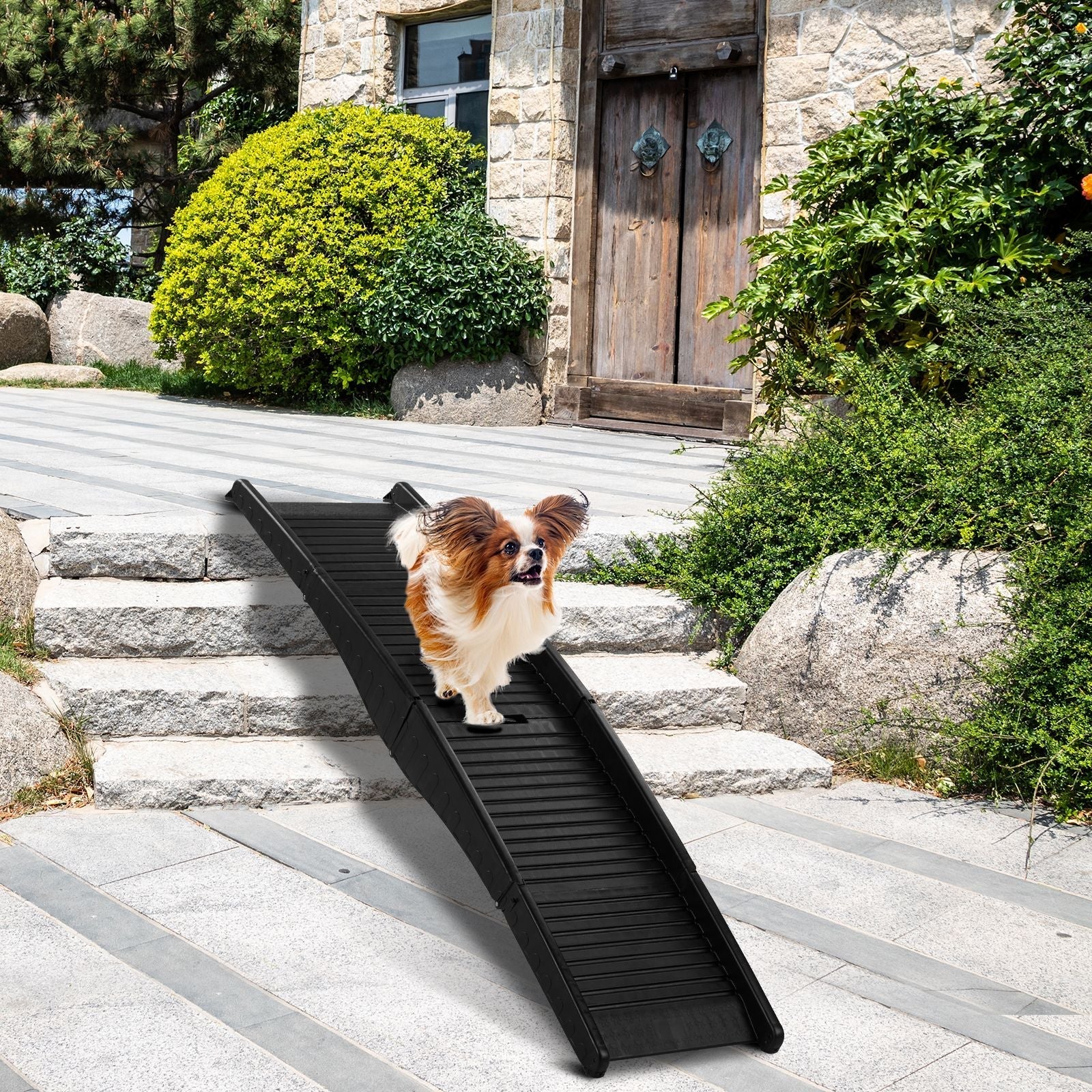 Dog vehicle ramp and mobility gear