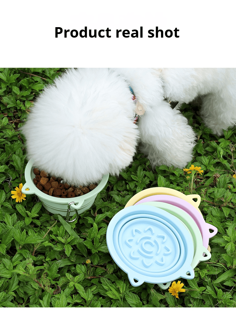 Dog eating from an open RoadBowl beside collapsed bowls in assorted colors