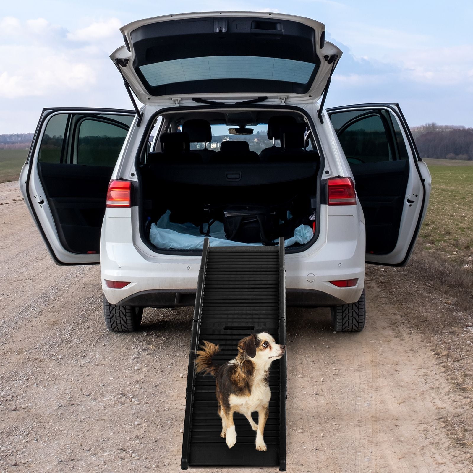 Small dog standing on a TrailRamp positioned at an open SUV